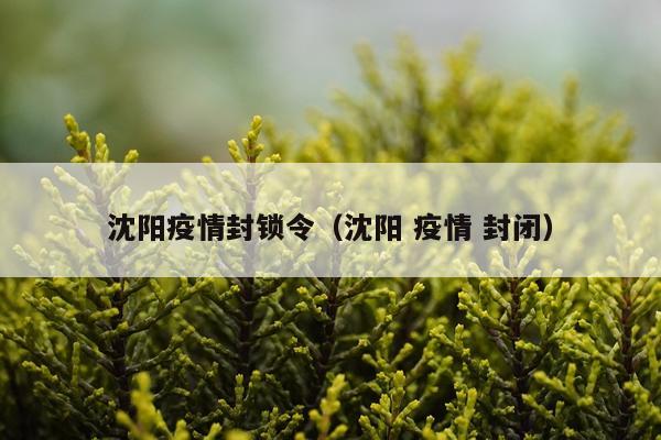 沈阳疫情封锁令（沈阳 疫情 封闭）