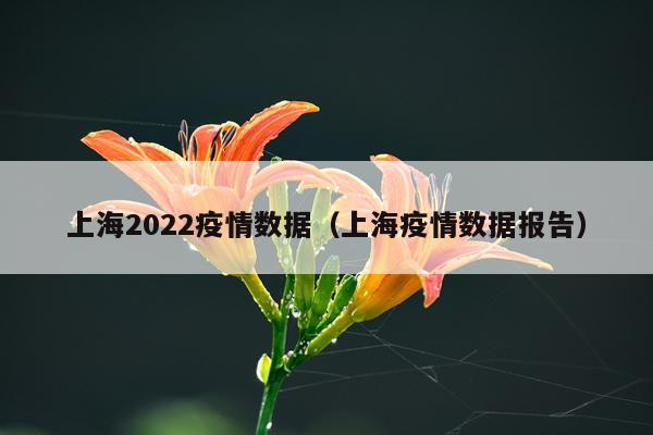 上海2022疫情数据（上海疫情数据报告）