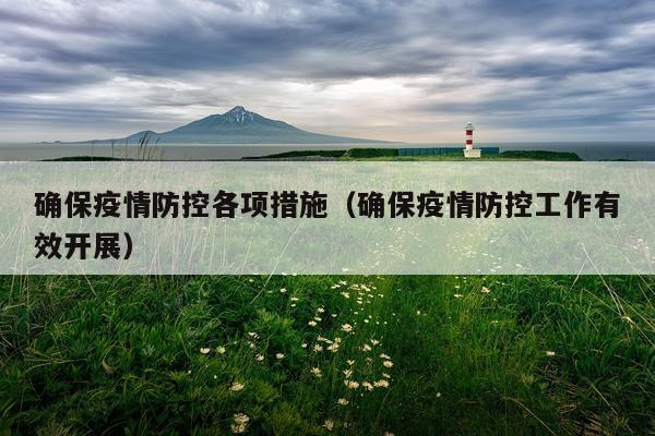 确保疫情防控各项措施（确保疫情防控工作有效开展）