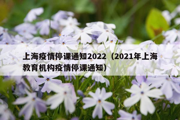 上海疫情停课通知2022（2021年上海教育机构疫情停课通知）