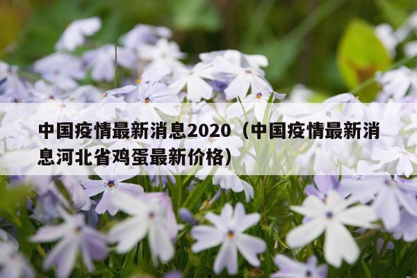 中国疫情最新消息2020(中国疫情最新消息河北省鸡蛋最新价格)
