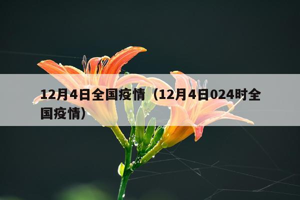 12月4日全国疫情（12月4日024时全国疫情）