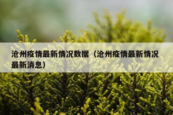 沧州疫情最新情况数据(沧州疫情最新情况 最新消息)
