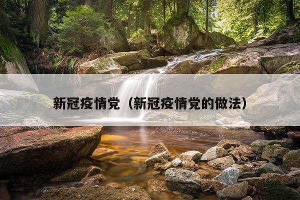 新冠疫情党（新冠疫情党的做法）