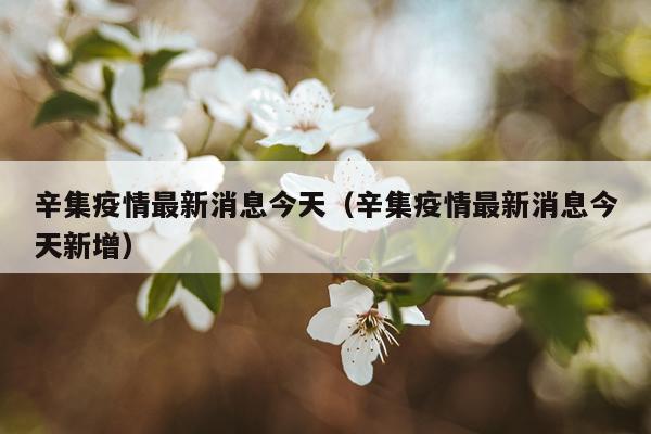 辛集疫情最新消息今天（辛集疫情最新消息今天新增）
