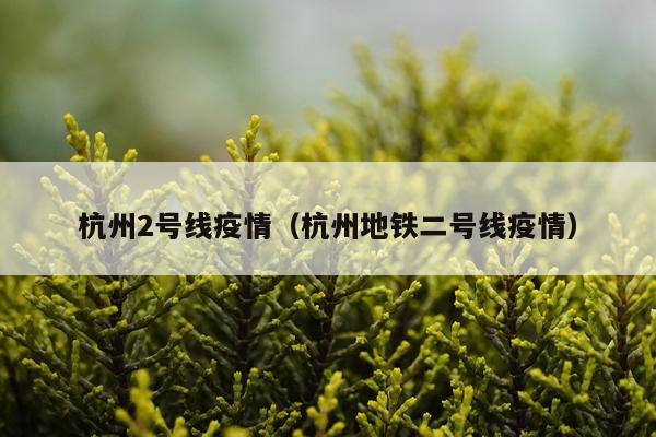 杭州2号线疫情（杭州地铁二号线疫情）