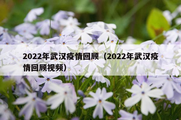 2022年武汉疫情回顾（2022年武汉疫情回顾视频）