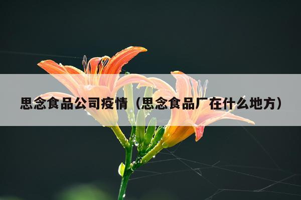 思念食品公司疫情（思念食品厂在什么地方）