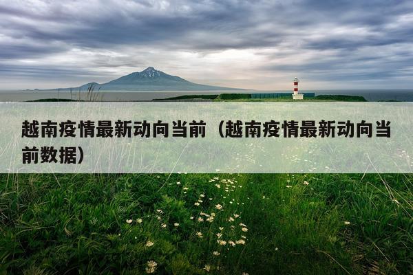 越南疫情最新动向当前(越南疫情最新动向当前数据)