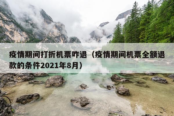 疫情期间打折机票咋退（疫情期间机票全额退款的条件2021年8月）