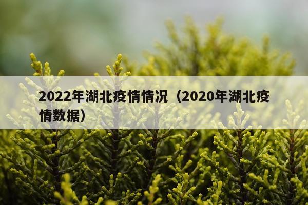 2022年湖北疫情情况（2020年湖北疫情数据）