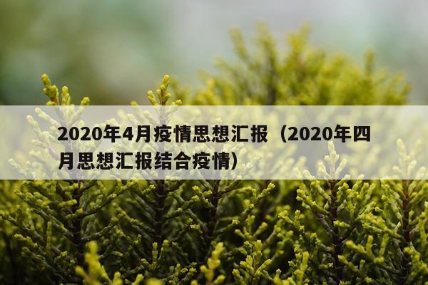 2020年4月疫情思想汇报（2020年四月思想汇报结合疫情）