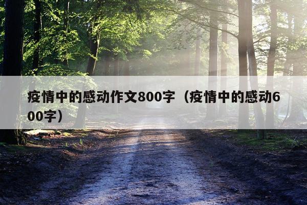 疫情中的感动作文800字（疫情中的感动600字）