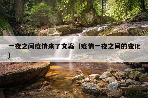 一夜之间疫情来了文案（疫情一夜之间的变化）