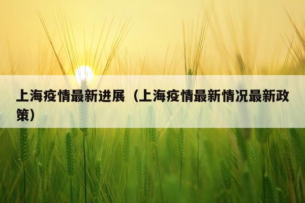 上海疫情最新进展（上海疫情最新情况最新政策）