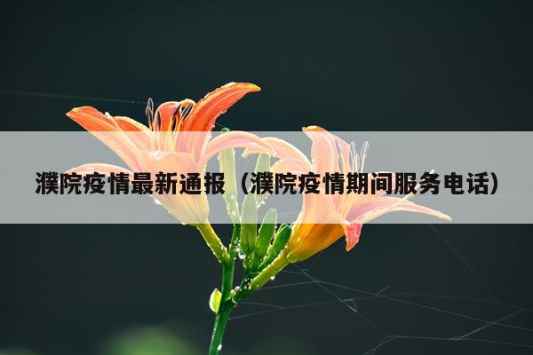 濮院疫情最新通报（濮院疫情期间服务电话）