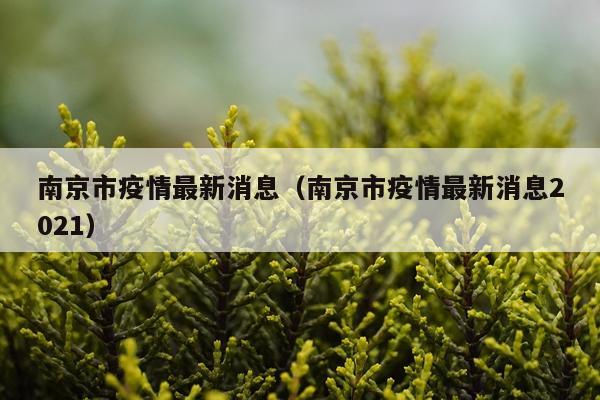南京市疫情最新消息（南京市疫情最新消息2021）