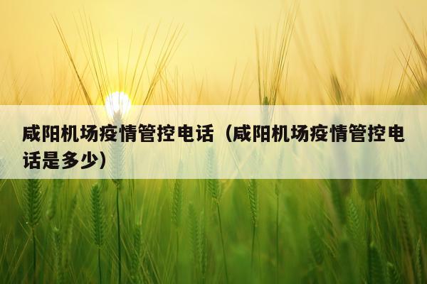 咸阳机场疫情管控电话（咸阳机场疫情管控电话是多少）