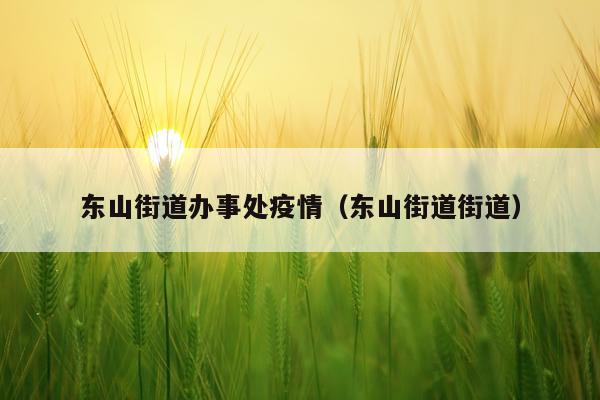 东山街道办事处疫情（东山街道街道）