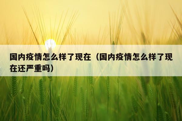国内疫情怎么样了现在（国内疫情怎么样了现在还严重吗）