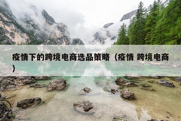 疫情下的跨境电商选品策略（疫情 跨境电商）