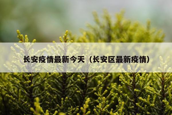 长安疫情最新今天（长安区最新疫情）