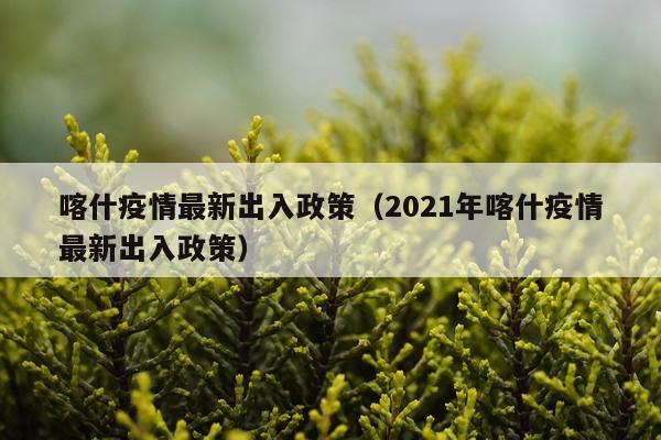 喀什疫情最新出入政策（2021年喀什疫情最新出入政策）