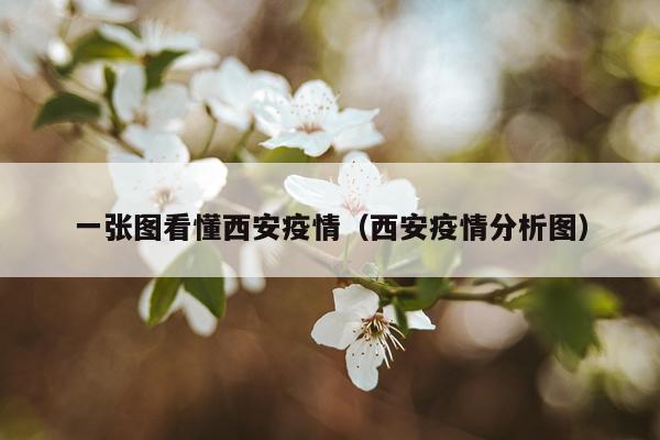 一张图看懂西安疫情（西安疫情分析图）