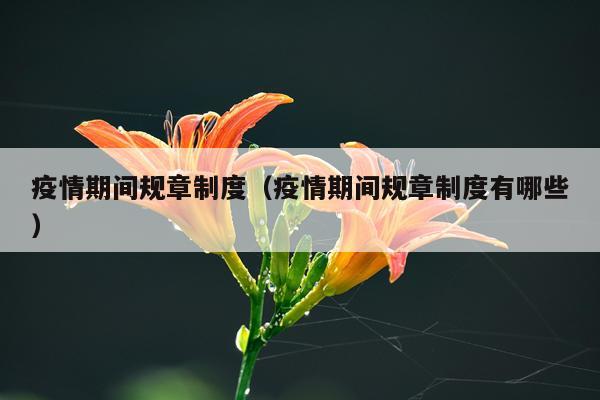 疫情期间规章制度（疫情期间规章制度有哪些）