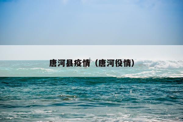 唐河县疫情（唐河役情）