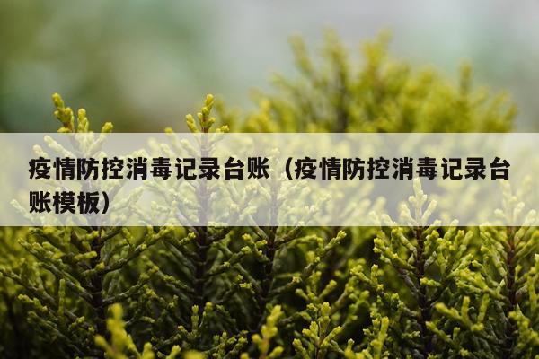 疫情防控消毒记录台账（疫情防控消毒记录台账模板）