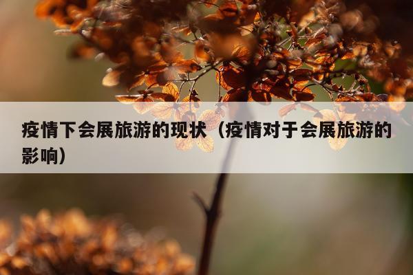 疫情下会展旅游的现状（疫情对于会展旅游的影响）