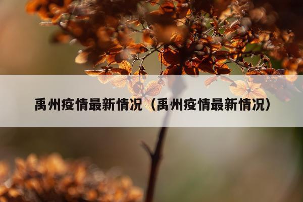 禹州疫情最新情况（禹州疫情最新情况）