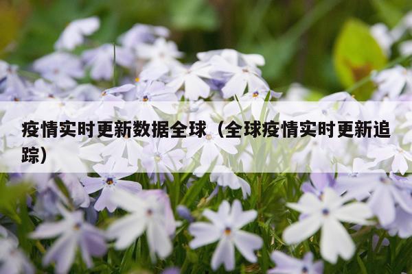 疫情实时更新数据全球（全球疫情实时更新追踪）