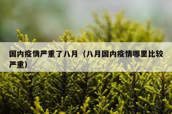 国内疫情严重了八月（八月国内疫情哪里比较严重）