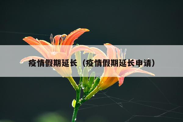 疫情假期延长（疫情假期延长申请）