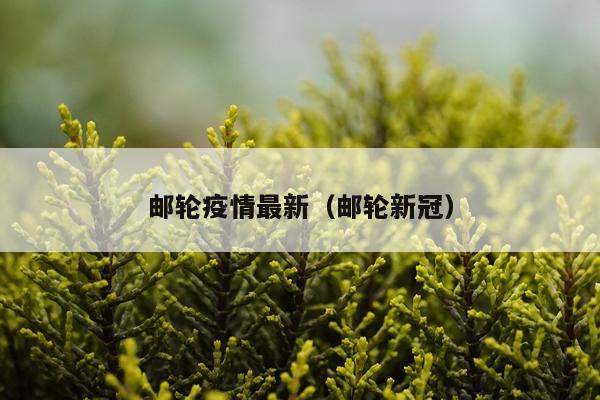 邮轮疫情最新（邮轮新冠）