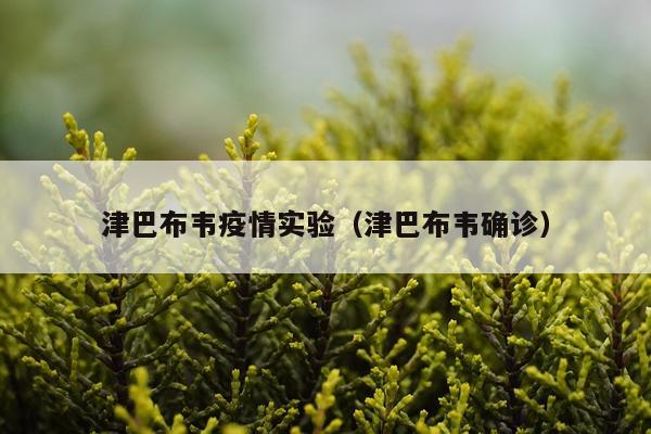 津巴布韦疫情实验（津巴布韦确诊）