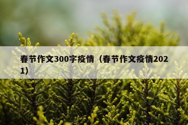 春节作文300字疫情（春节作文疫情2021）