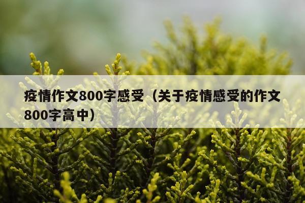 疫情作文800字感受（关于疫情感受的作文800字高中）