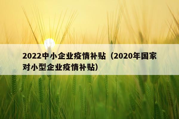 2022中小企业疫情补贴（2020年国家对小型企业疫情补贴）