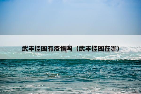 武丰佳园有疫情吗（武丰佳园在哪）