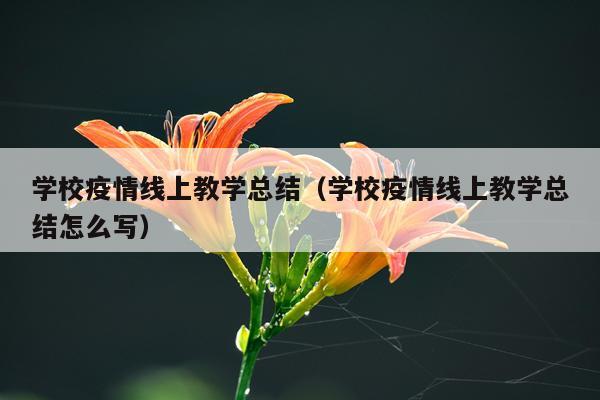 学校疫情线上教学总结（学校疫情线上教学总结怎么写）
