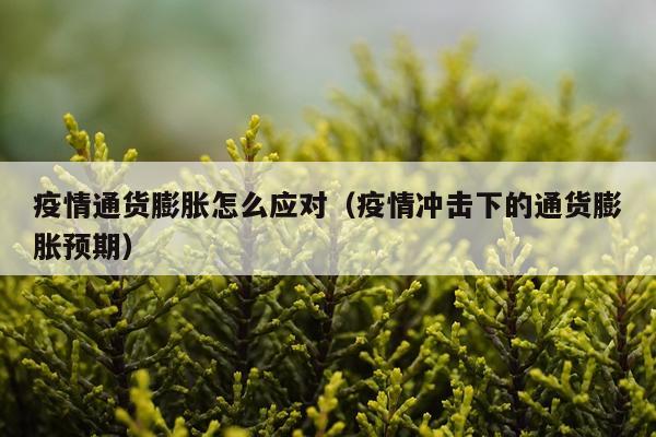 疫情通货膨胀怎么应对（疫情冲击下的通货膨胀预期）