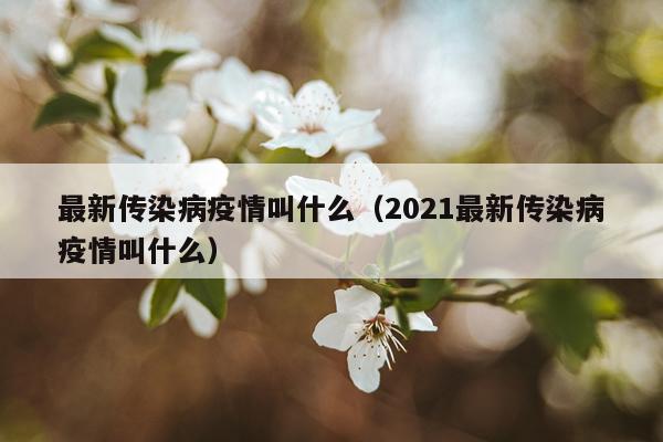 最新传染病疫情叫什么（2021最新传染病疫情叫什么）