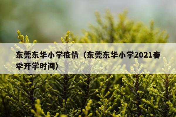 东莞东华小学疫情（东莞东华小学2021春季开学时间）