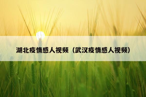 湖北疫情感人视频（武汉疫情感人视频）