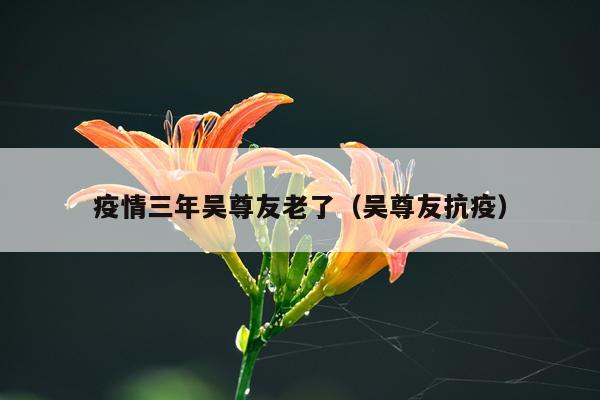疫情三年吴尊友老了（吴尊友抗疫）
