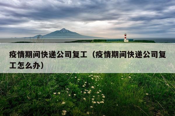 疫情期间快递公司复工（疫情期间快递公司复工怎么办）