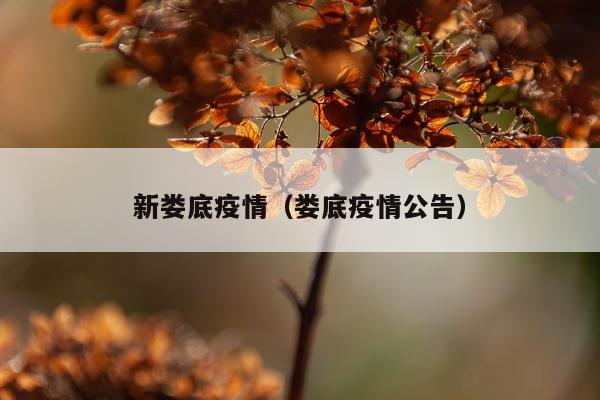 新娄底疫情（娄底疫情公告）
